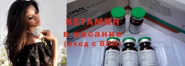 шишки Заводоуковск