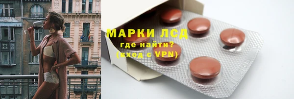 шишки Заводоуковск