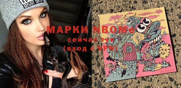 шишки Заводоуковск