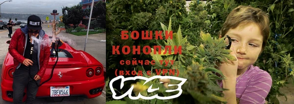шишки Заводоуковск