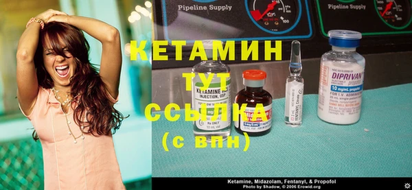 шишки Заводоуковск