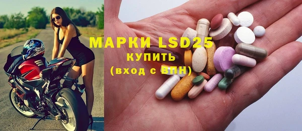 шишки Заводоуковск
