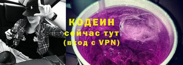 шишки Заводоуковск
