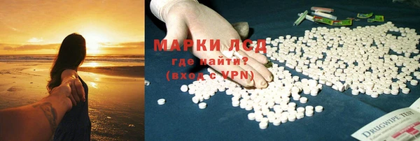 шишки Заводоуковск