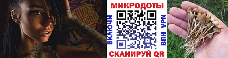 blacksprut онион  Задонск  Галлюциногенные грибы MAGIC MUSHROOMS 